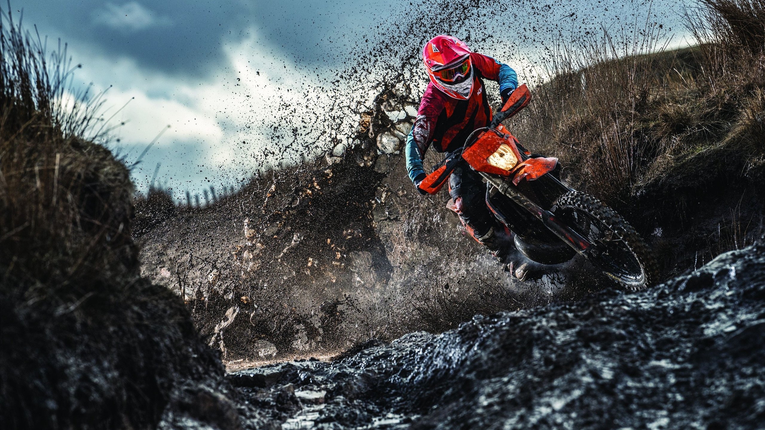 翱翔与独行，当老鹰的翅膀掠过莫兰特的纪录之夜