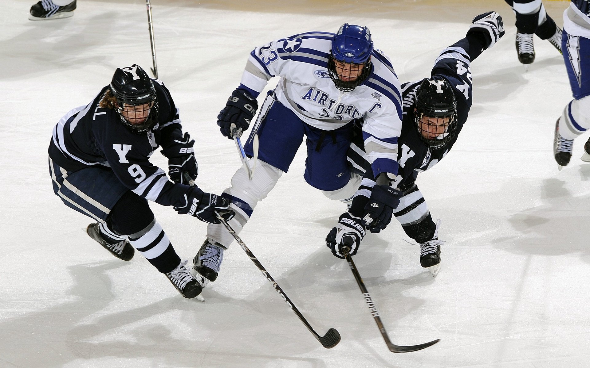 开云体育app-波斯铁骑碾压文艺之都，凯恩数据封神，一场跨越时空的统治级对话
